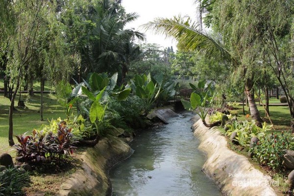 Water feature